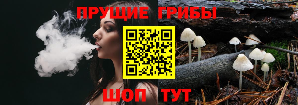 Псилоцибиновые грибы мухоморы  Галлюциногенные грибы Psilocybine cubensis  Вход с VPN  Кунгур 